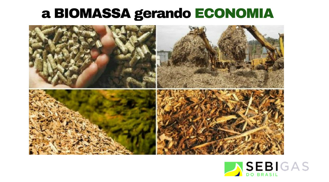 A SEBIGÁS desenvolveu nestes últimos anos, experiência biológica através da construção de mais de 55 usinas, 18 delas operadas pela própria empresa.